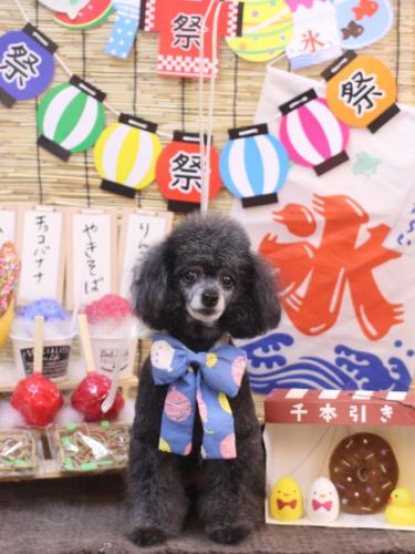 20240709ラムくん